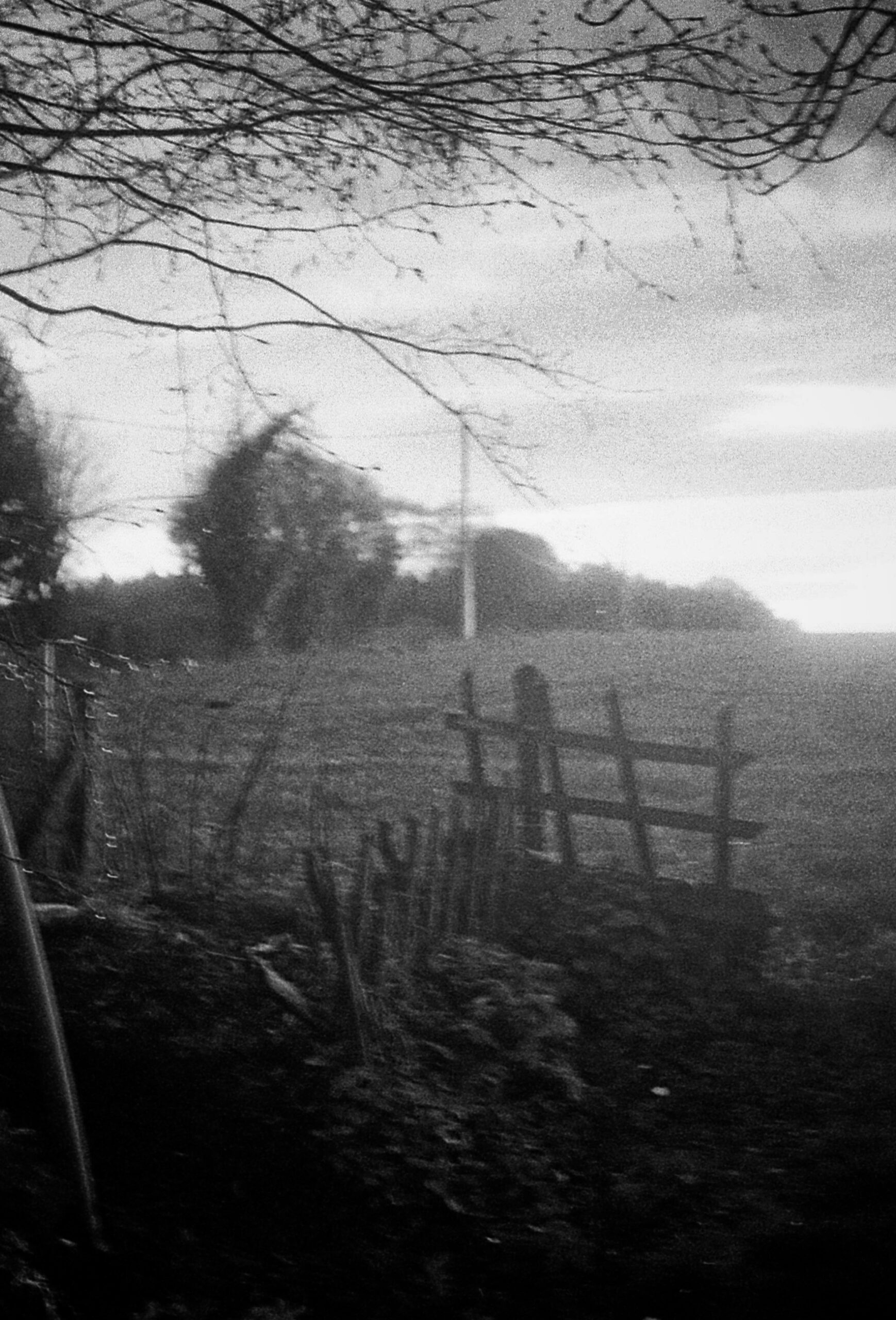 046 Vue sur les champs