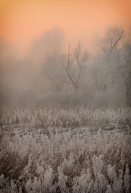 Crepuscule