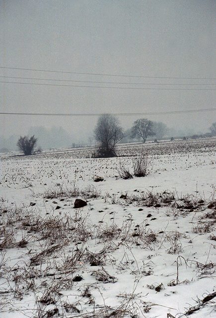 Steppe