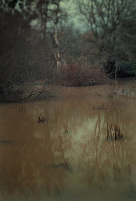 Eaux d'Automne